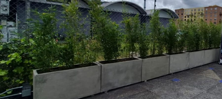 MACETAS Y PLANTA